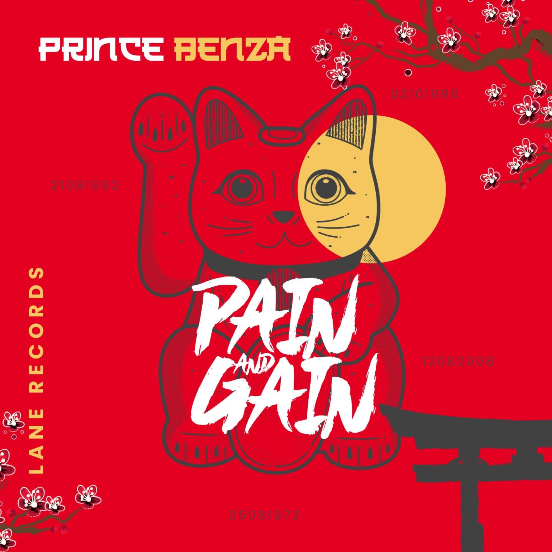 Album cover of Pain and Gain