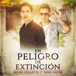 music cover