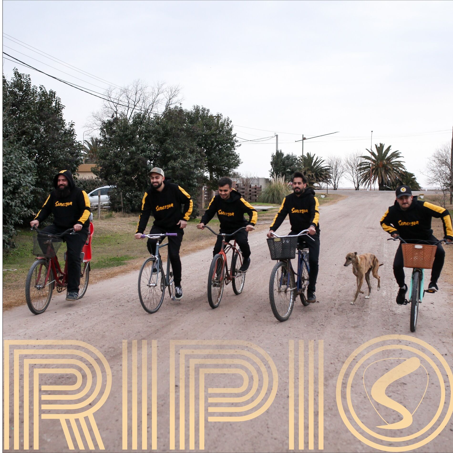 Album cover of Ripio