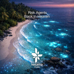 Cover of Back in Heaven by undefined