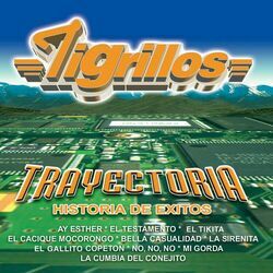 Cover of Trayectoria