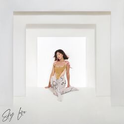 Cover of Sky Love