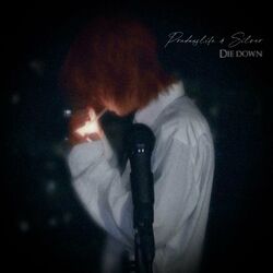Cover of Die Down