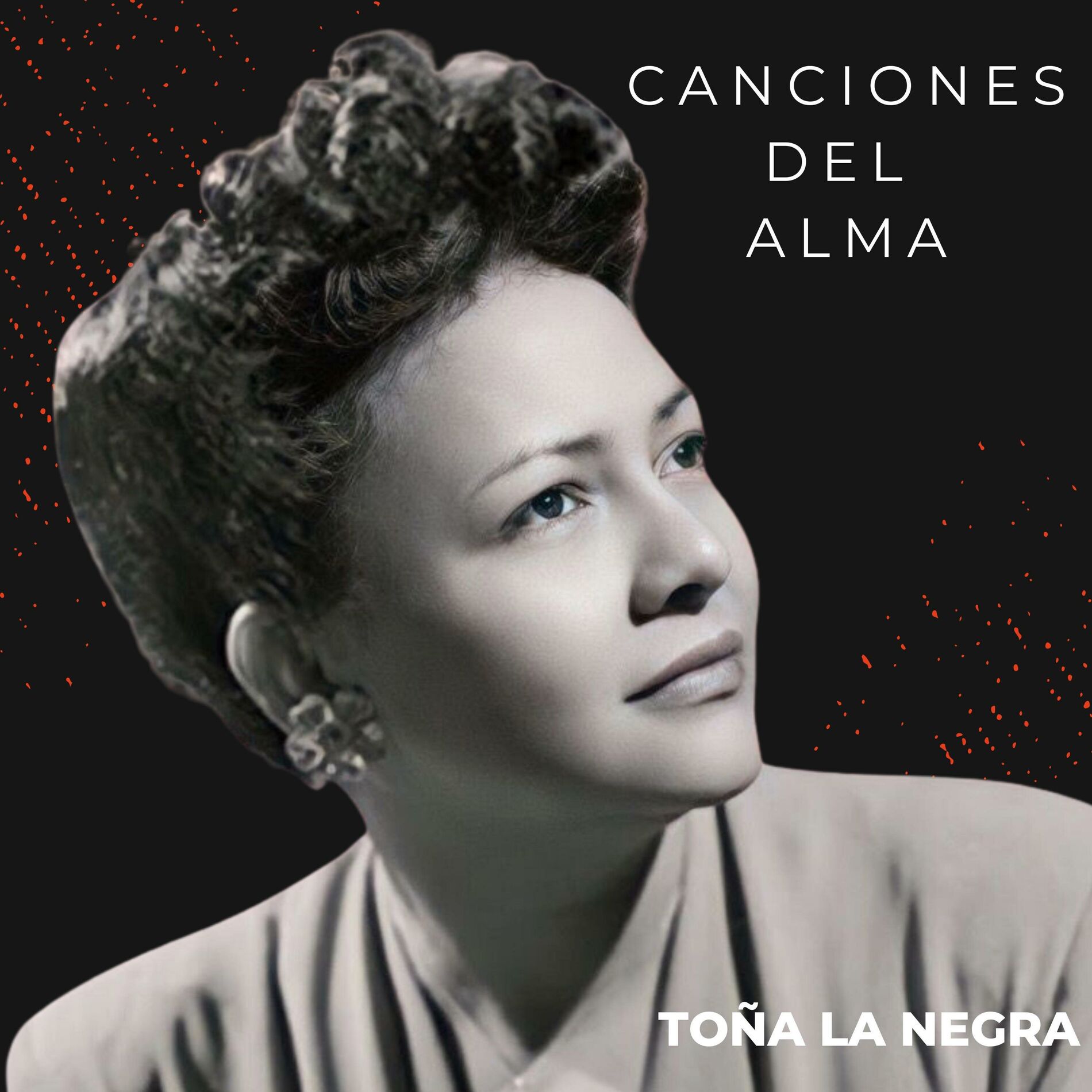 Album cover of Canciones Del Alma