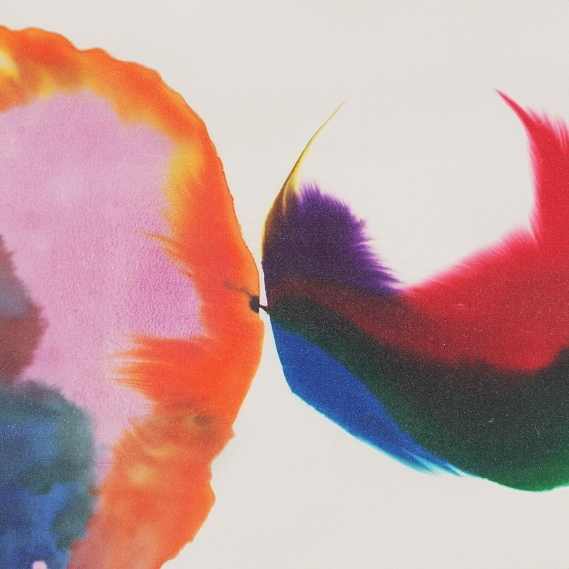 Album cover of Shifted