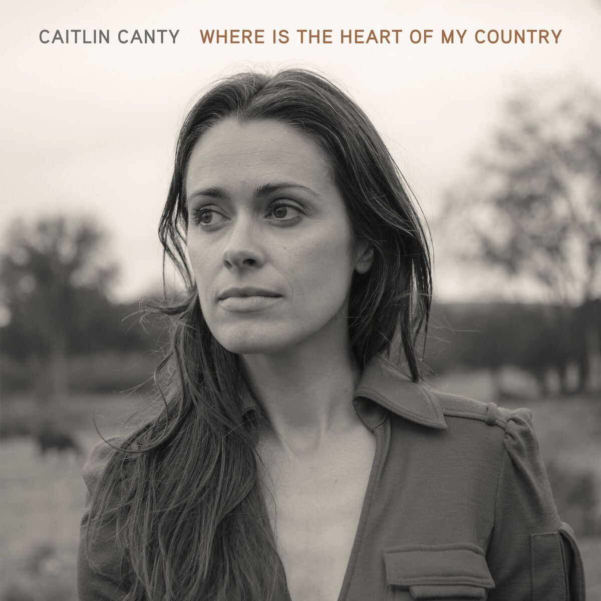 Album cover of Where is the Heart of My Country