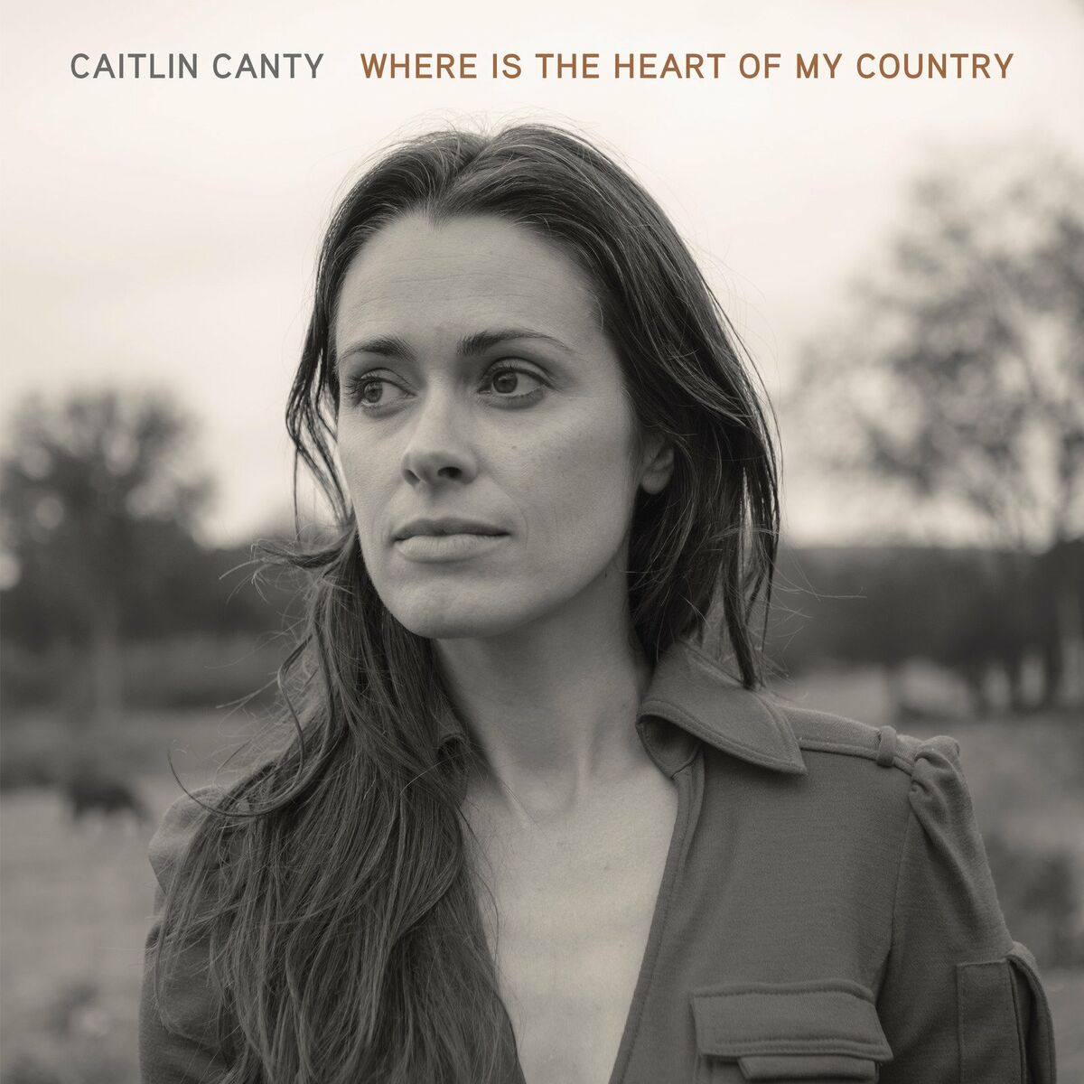Album cover of Where is the Heart of My Country