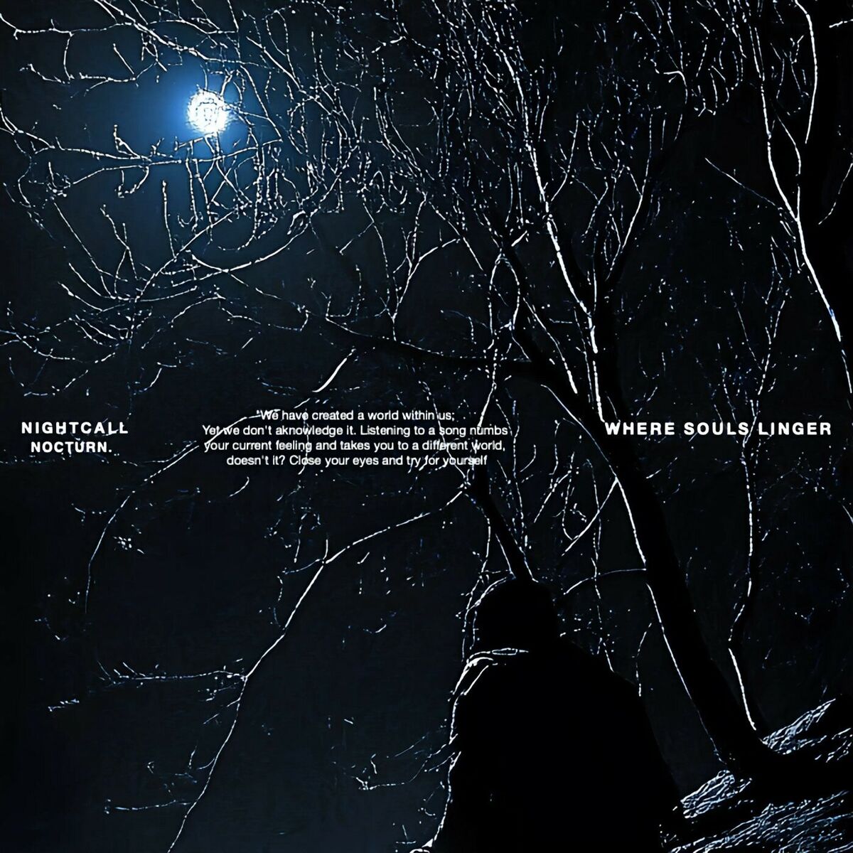 Album cover of Where Souls Linger
