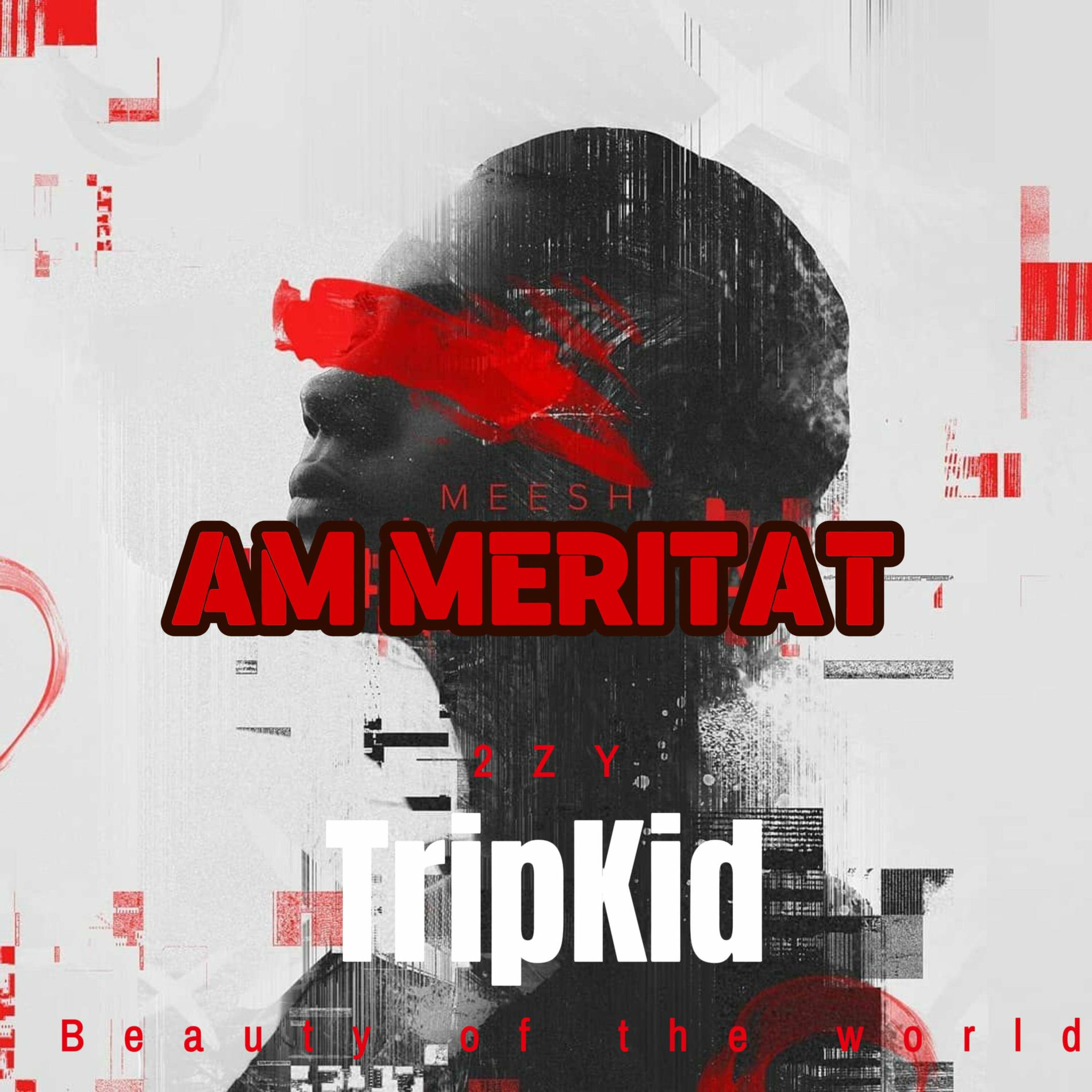 Album cover of Am Meritat (feat. TripKid)