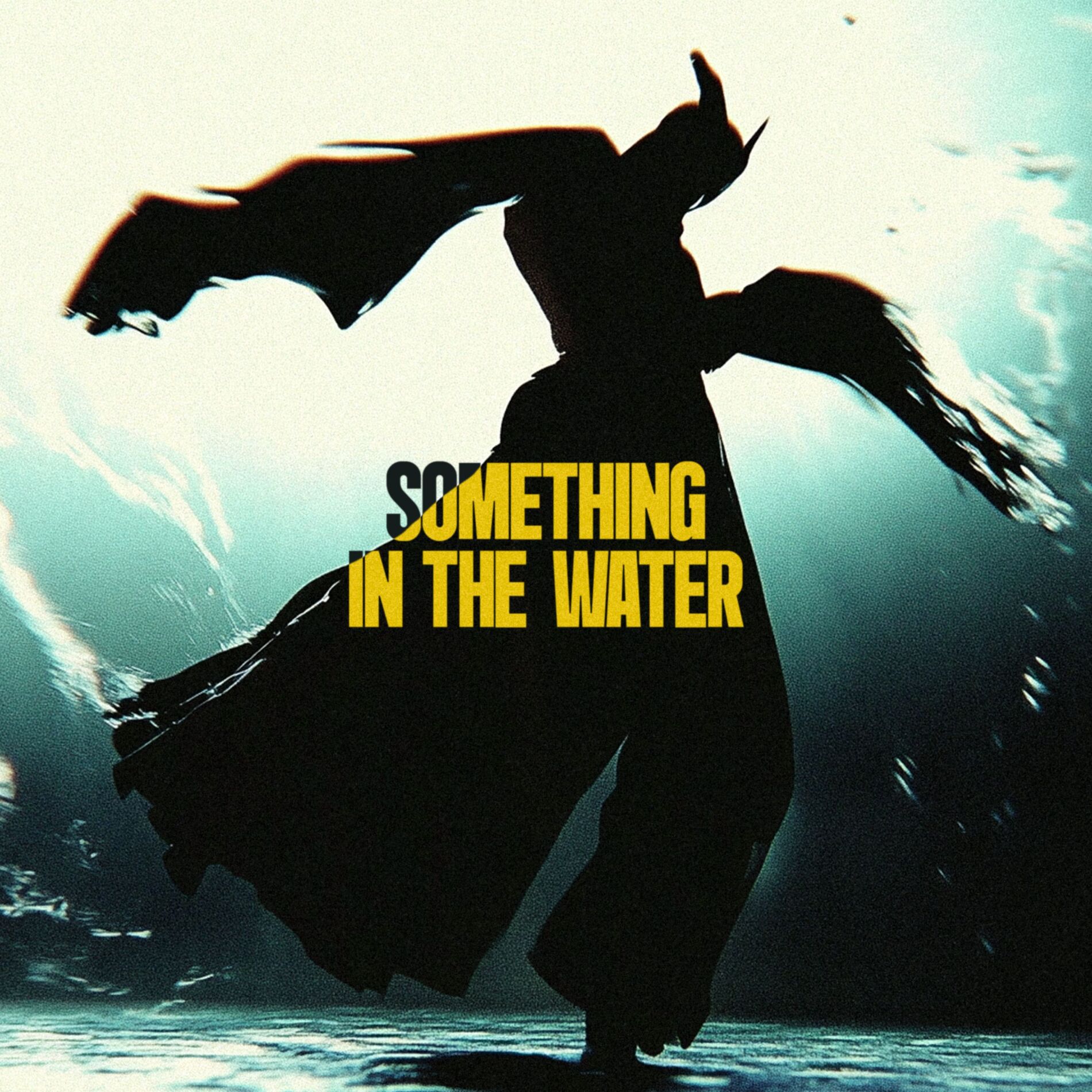 Album cover of Something In The Water