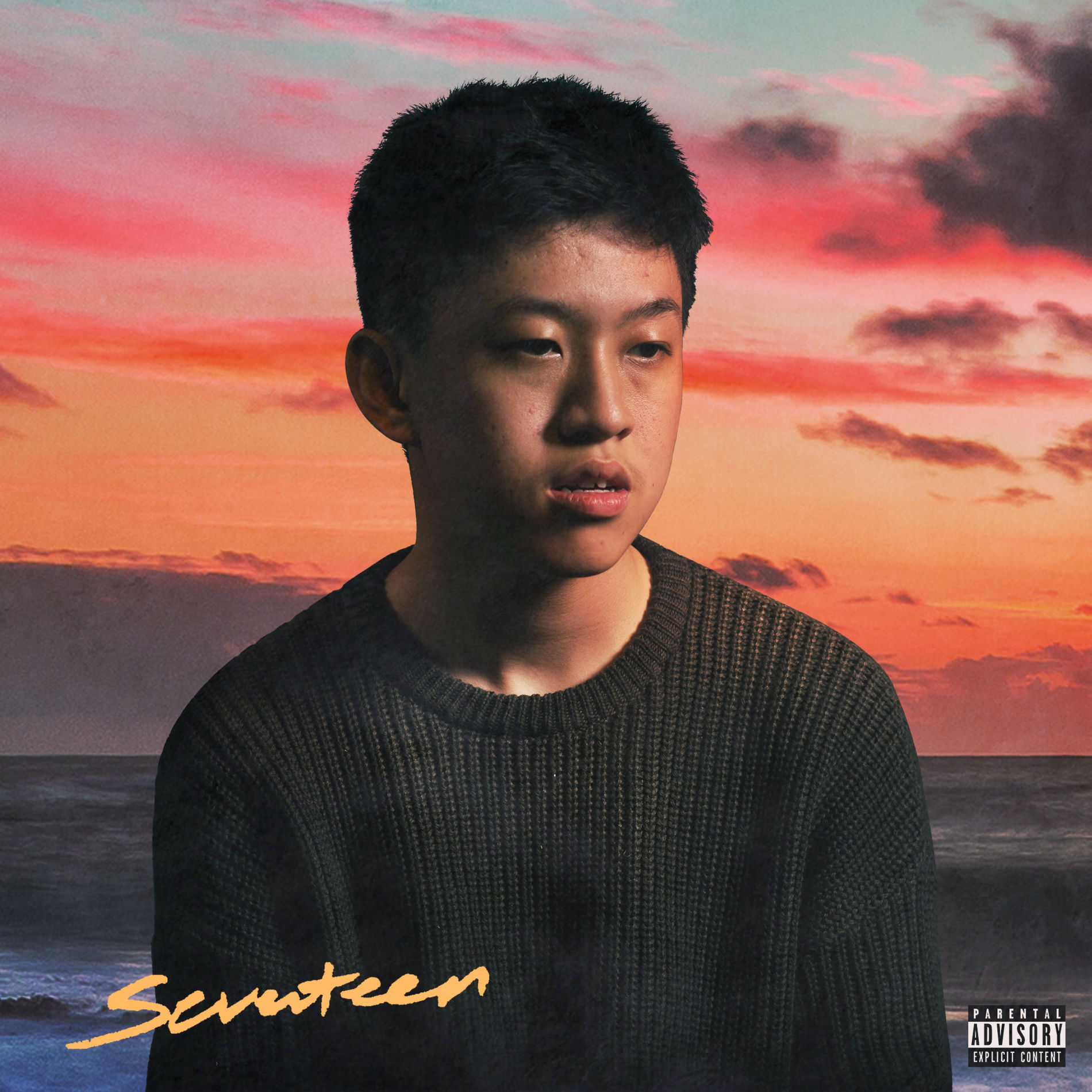 Album cover of Seventeen