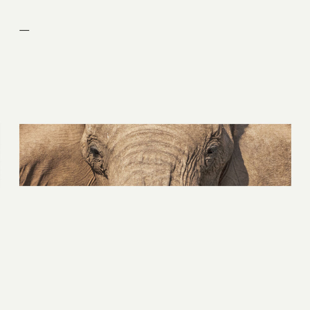 Picture of Was du nicht sagst (feat. toksï)