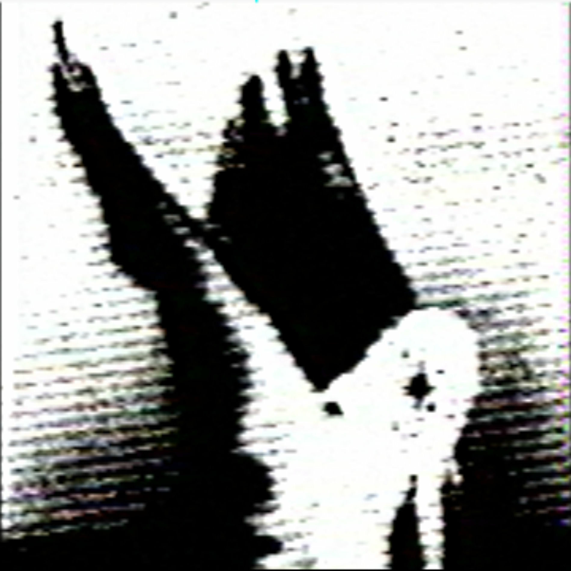 Album cover of NIGHT