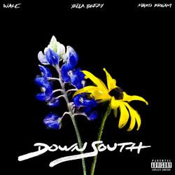 Cover of Down South (feat. Yella Beezy & Maxo Kream)