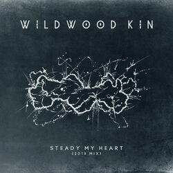 Cover of Steady My Heart (2018 Mix)