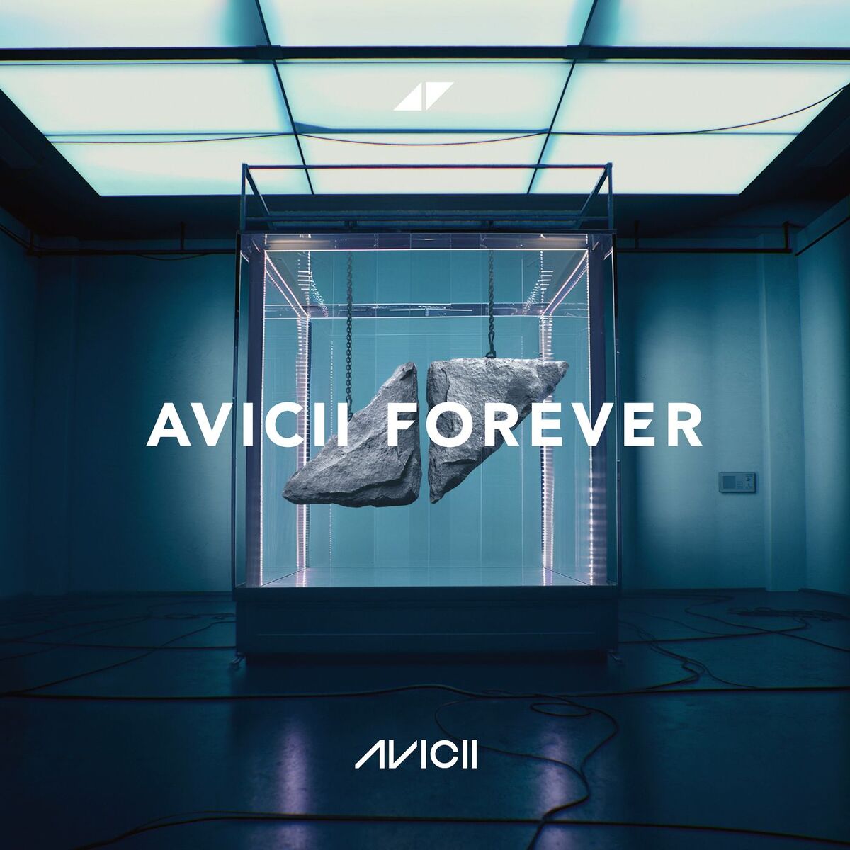 Album cover of Avicii Forever