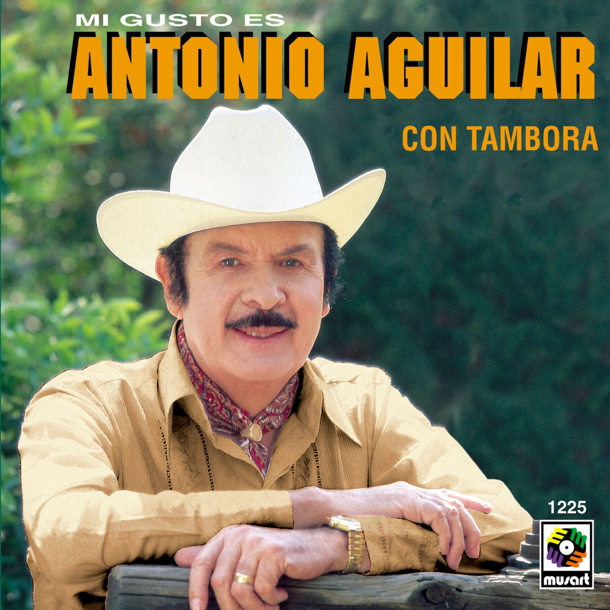 Album cover of El Disgusto