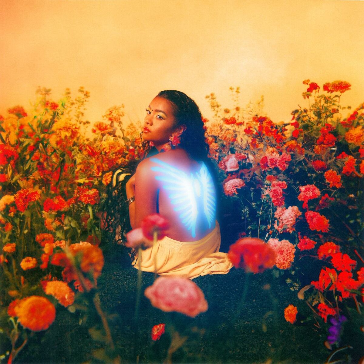 Album cover of Revenge Body