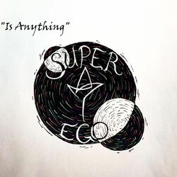 Cover of Is Anything