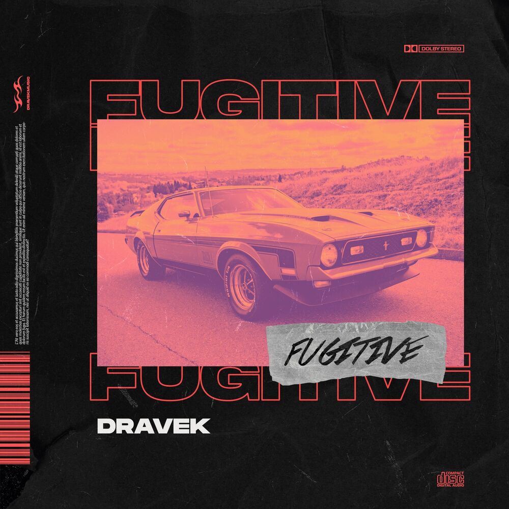 Picture of Fugitive