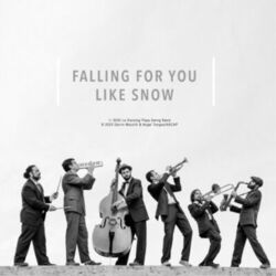 Cover of Falling for You Like Snow