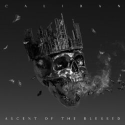 Cover of Ascent of the Blessed