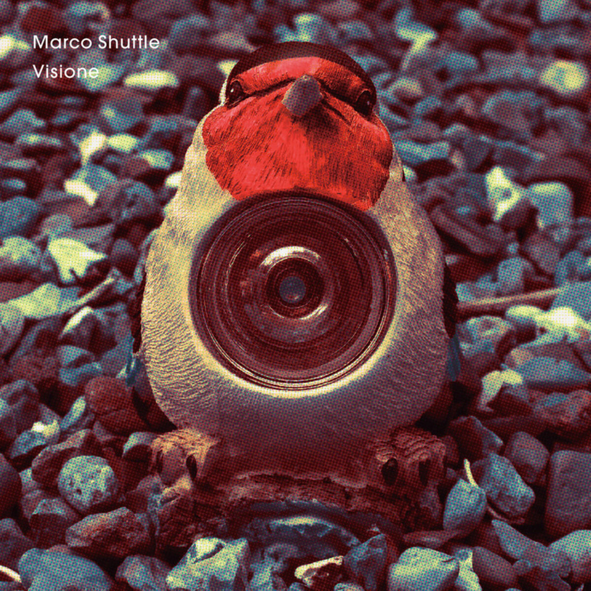 Album cover of Visione