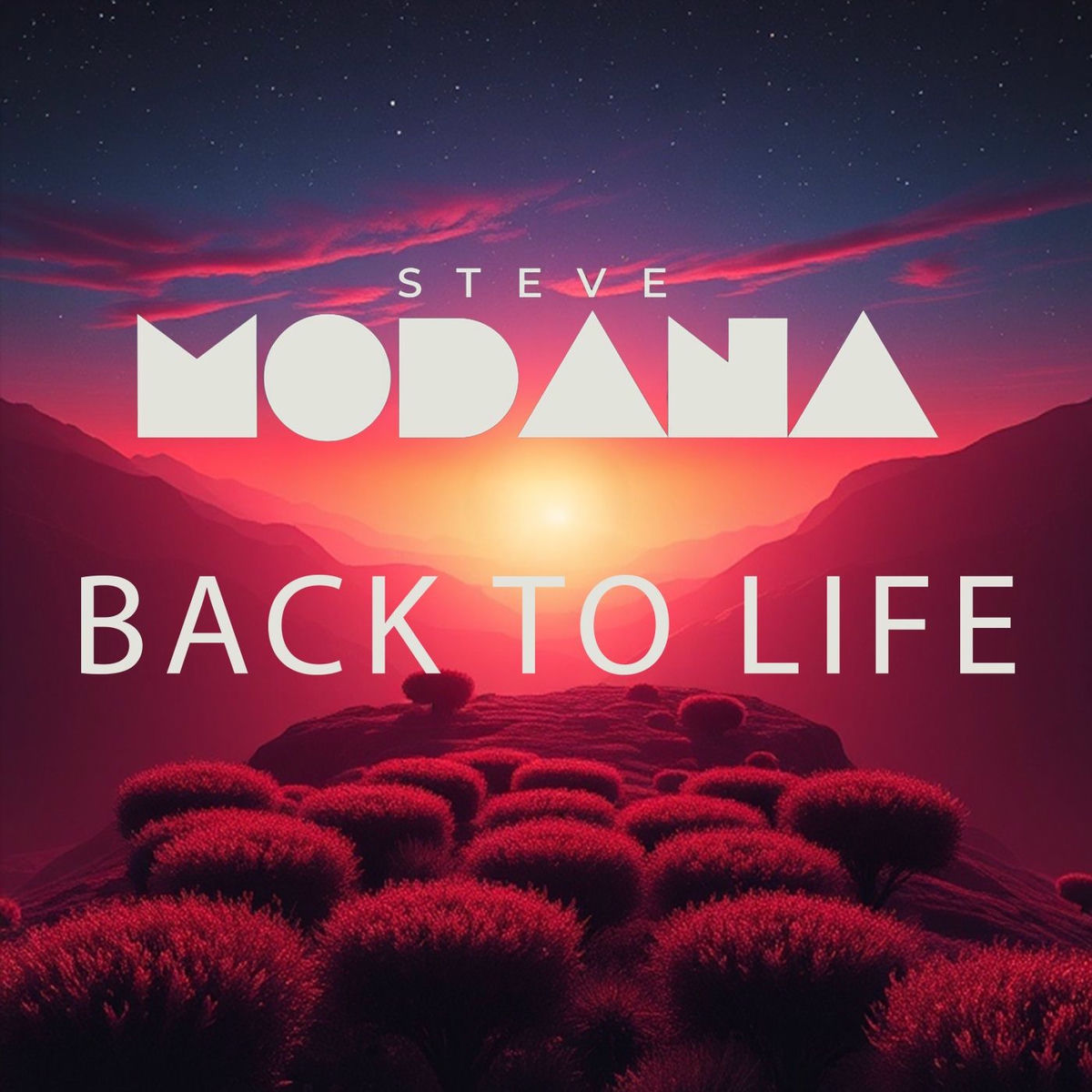 Album cover of Back to Life