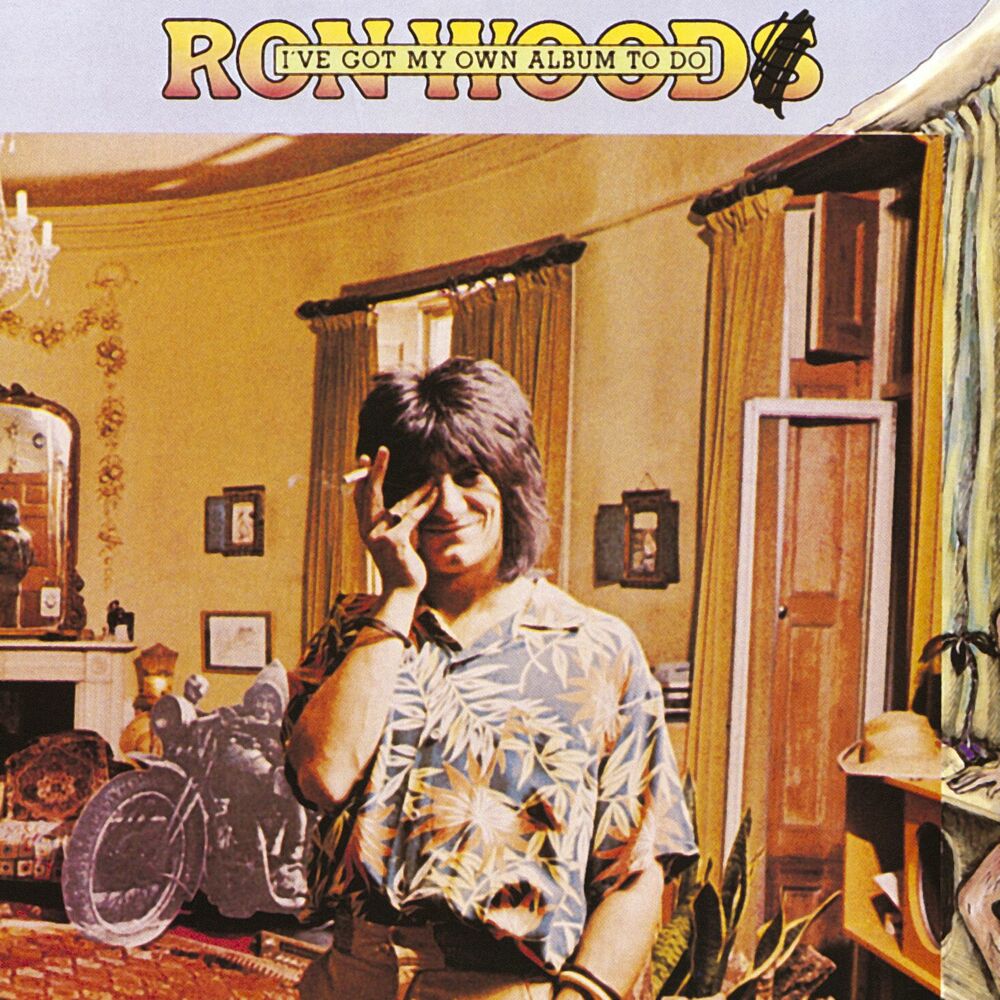 Picture of I've Got My Own Album To Do