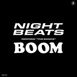 Cover of Shot Down