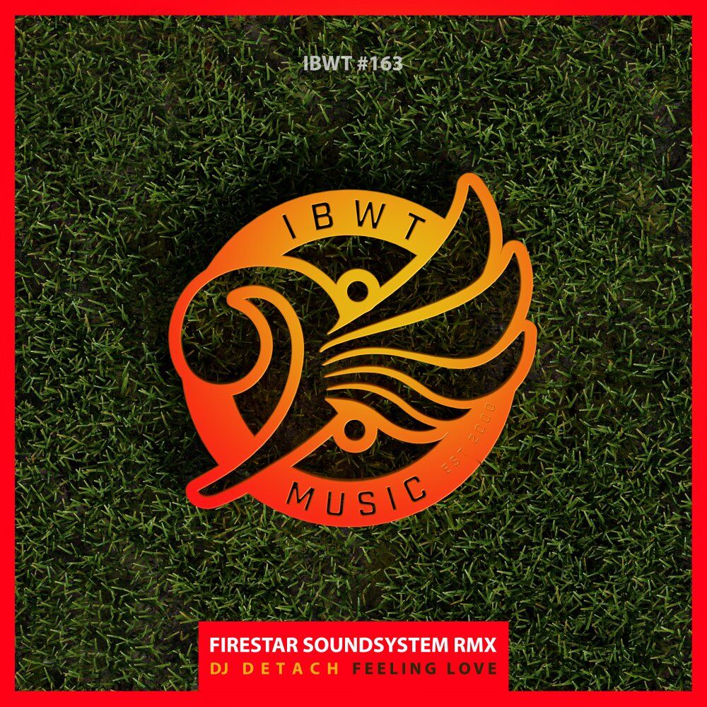 Picture of Feeling Love (Firestar Soundsystem Remix)