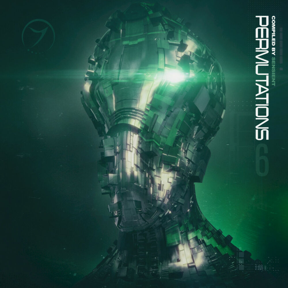 Picture of Permutations, Vol. 6