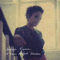 Cover of A Town Called Obsolete