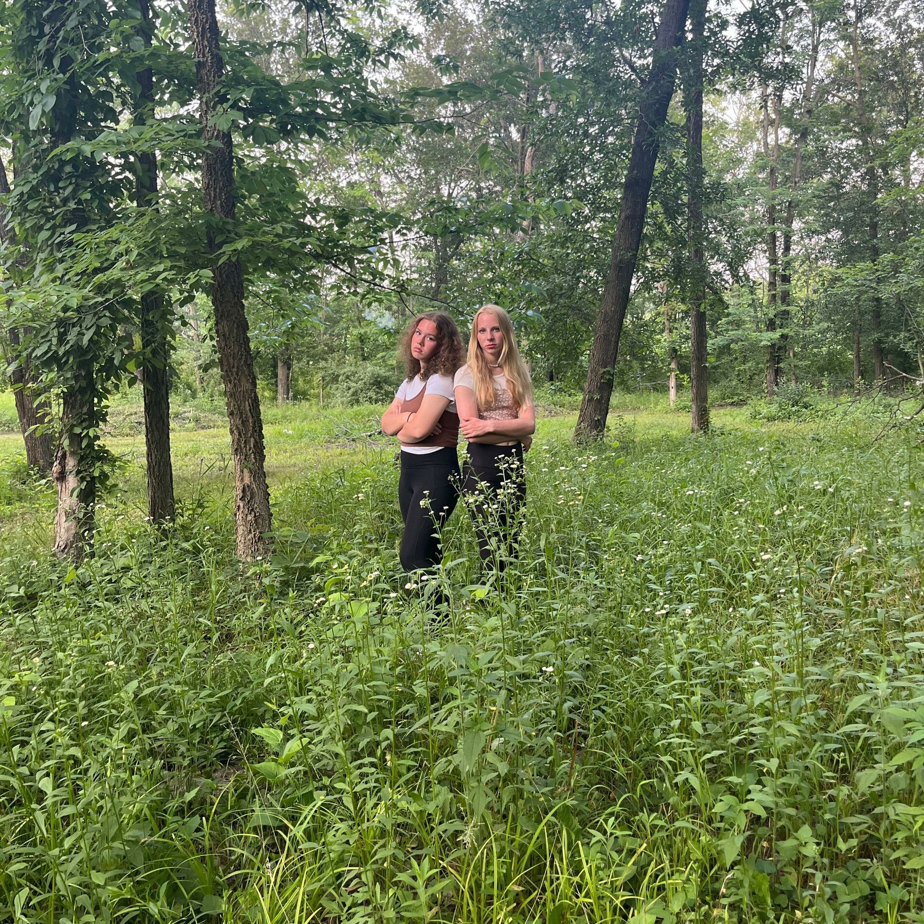 Album cover of I Fell Harder (feat. Genevieve Wheeler)
