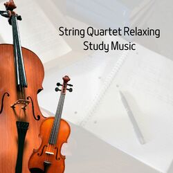 Cover of String Quartet Relaxing, Study Music