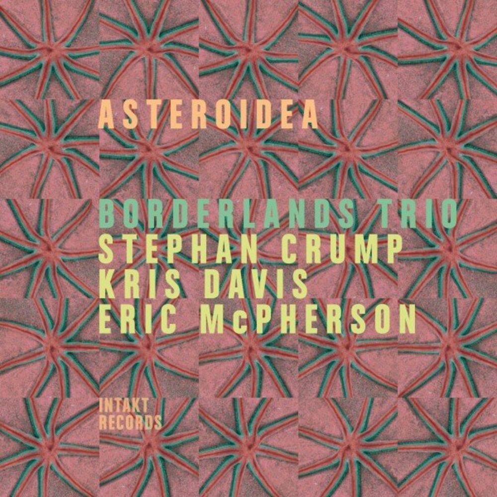 Picture of Asteroidea