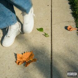 Cover of Fading