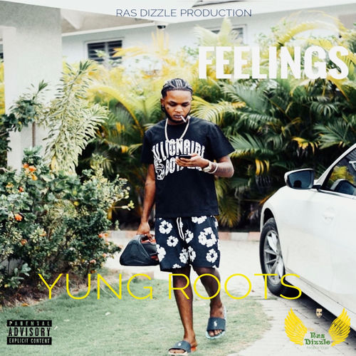 Feelings