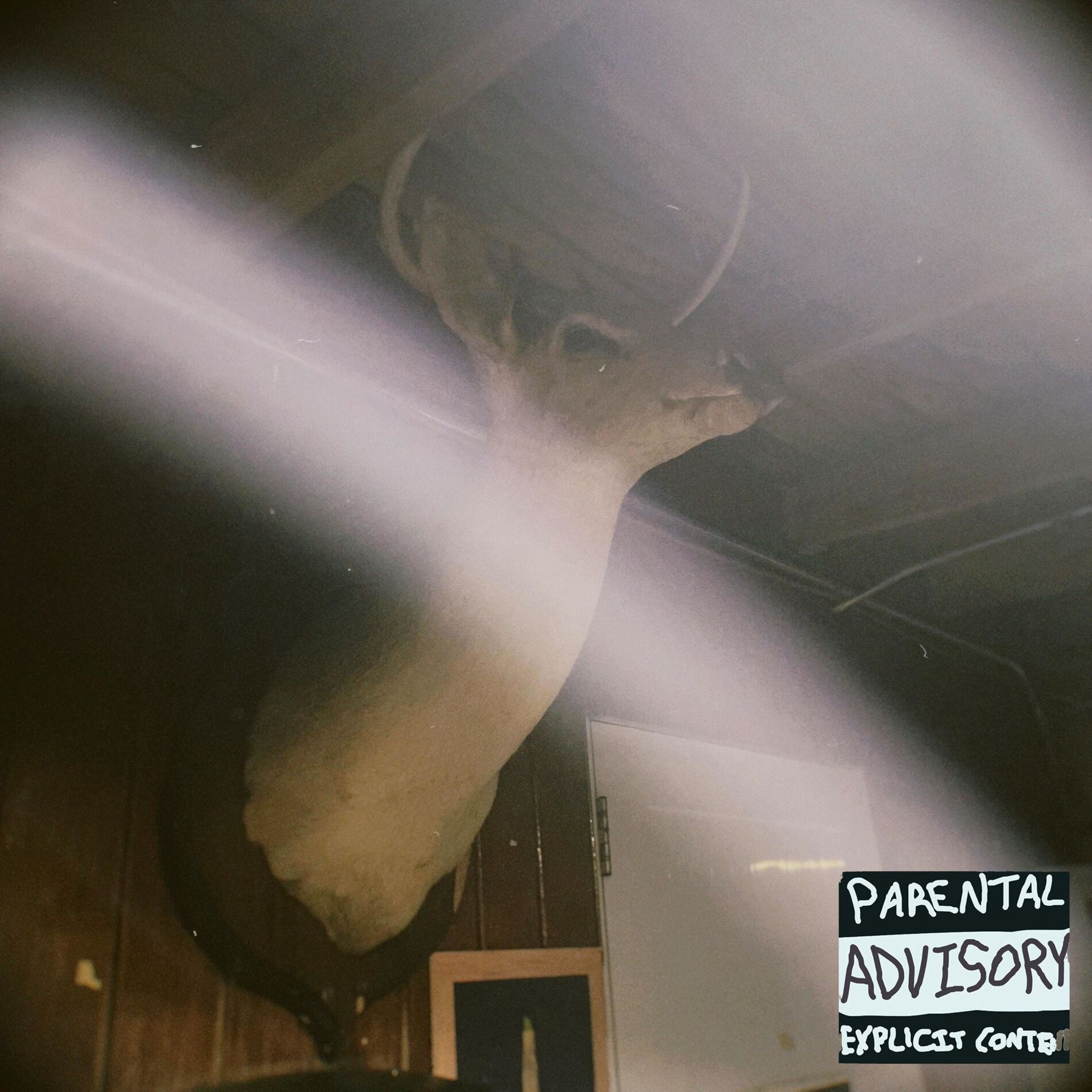 Album cover of Anorexys 2