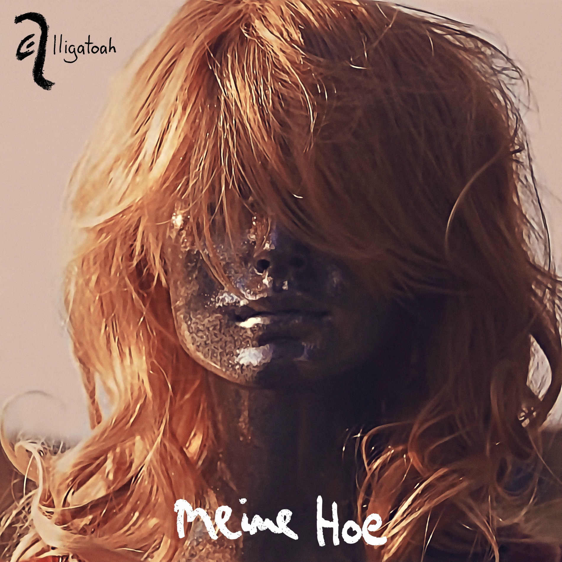 Album cover of Meine Hoe