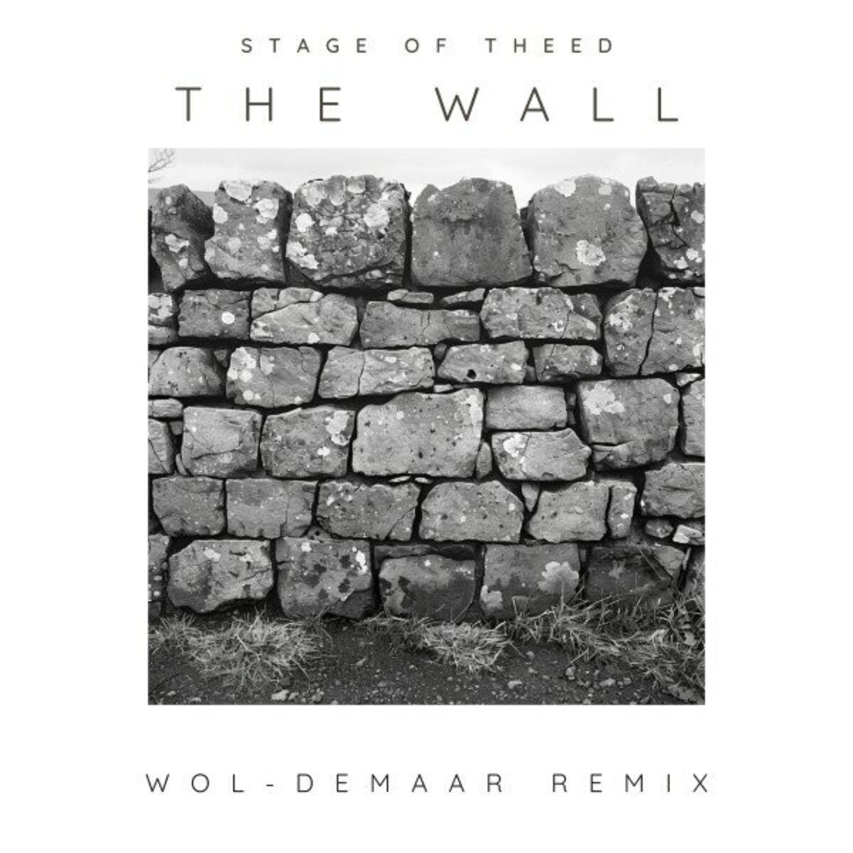 Album cover of The Wall (Wol-Demaar Remix)