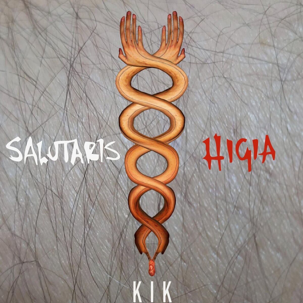 Album cover of Salutaris Higia