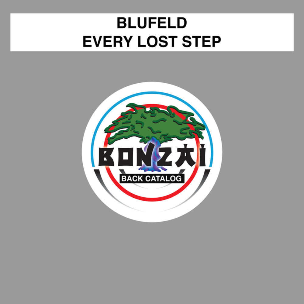 Picture of Every Lost Step