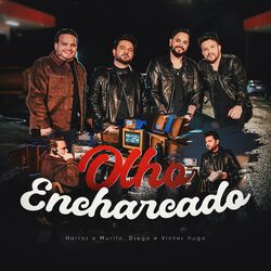 Cover of Olho Encharcado