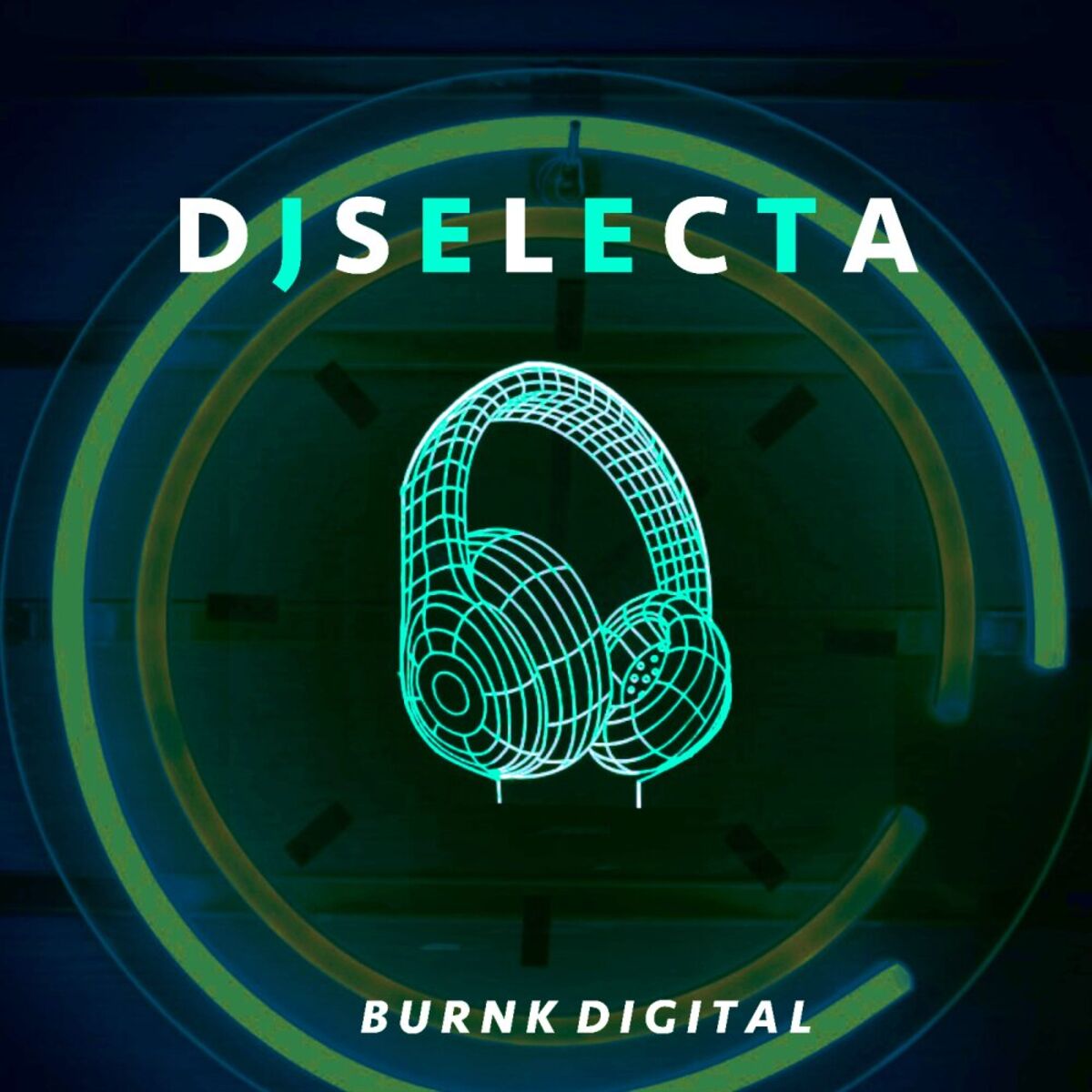 Album cover of Dj Selecta