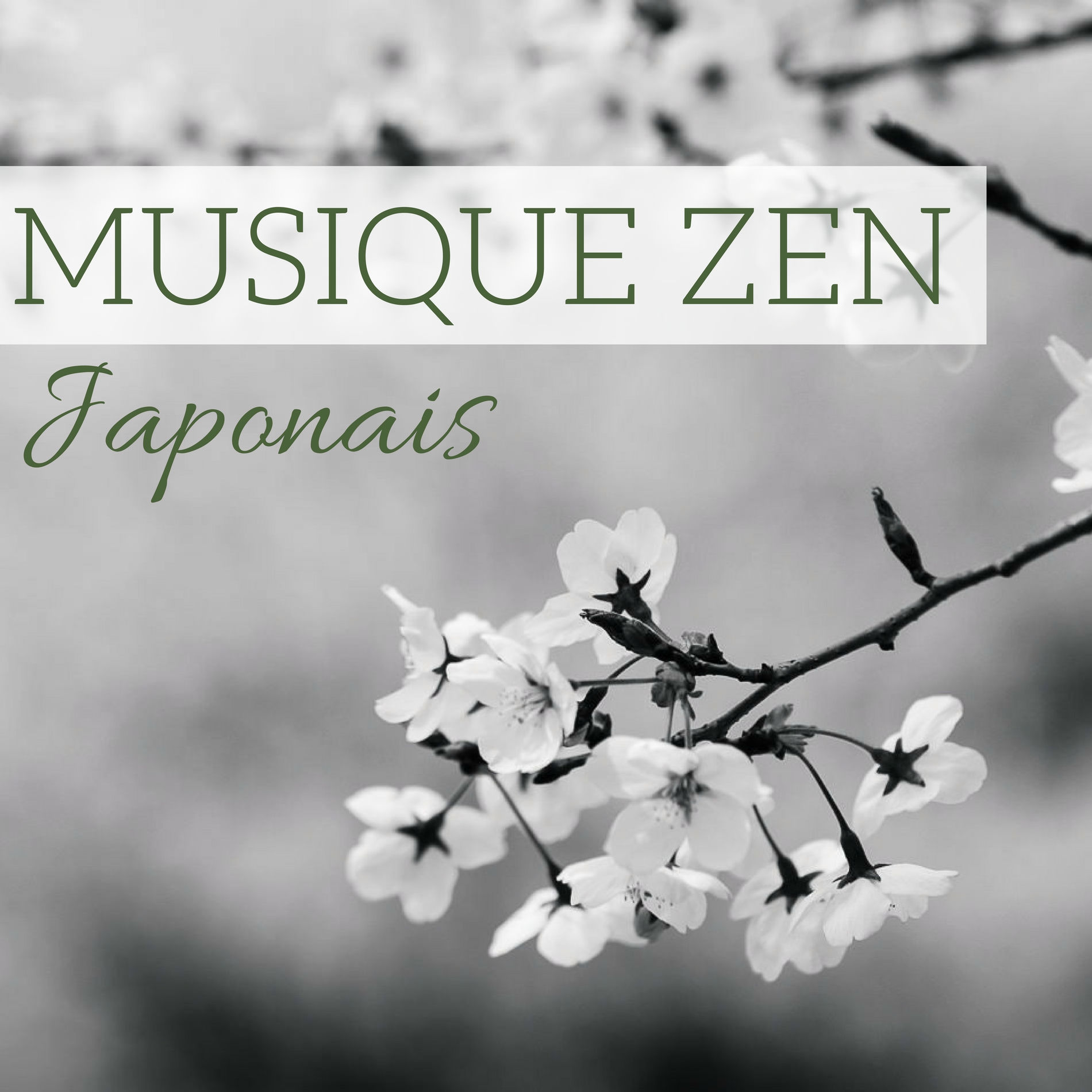 Album cover of Piano music sea waves (sounds of nature)