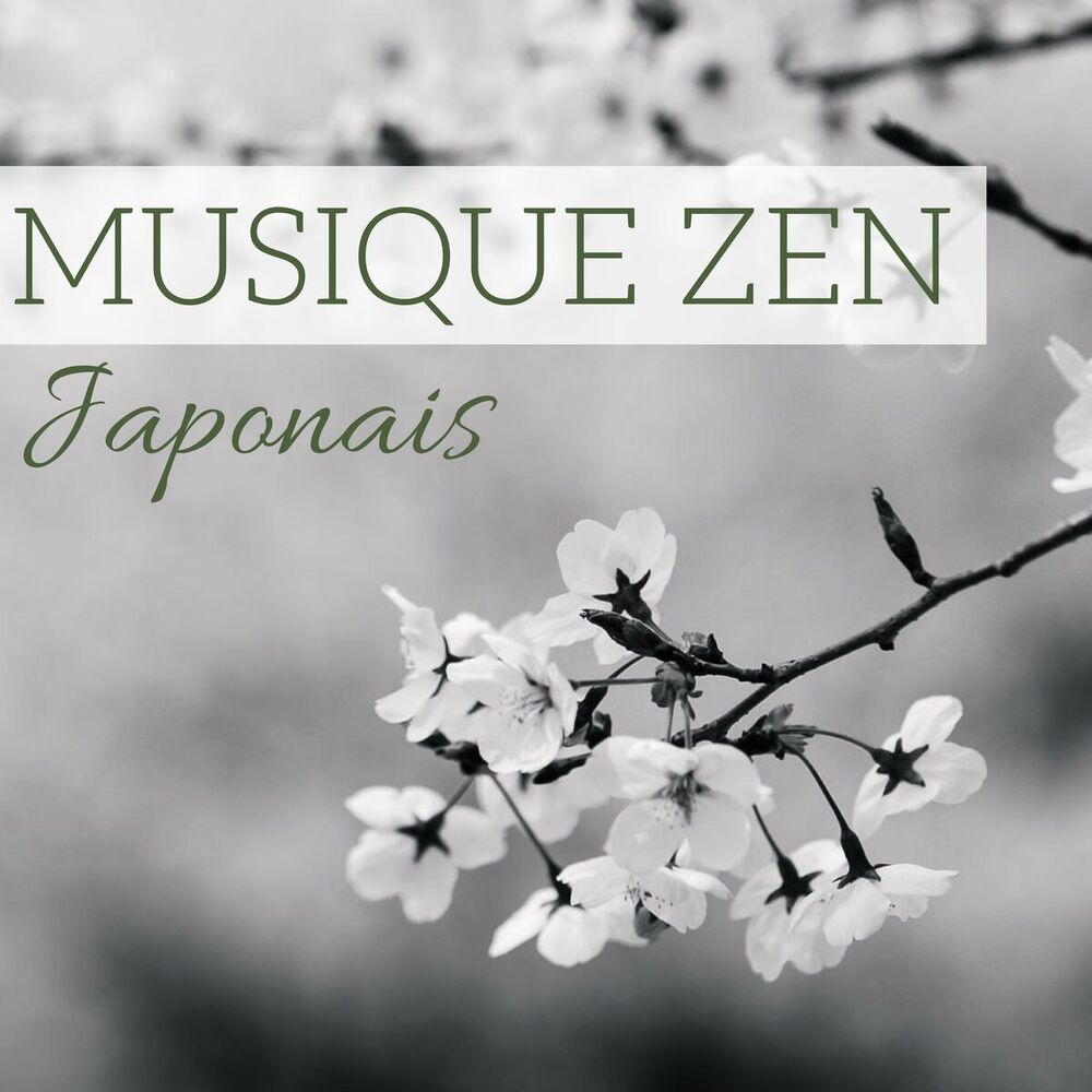 Picture of Musique Zen Japonais - Pour méditation transcendantale, yoga tantrique, feng shui