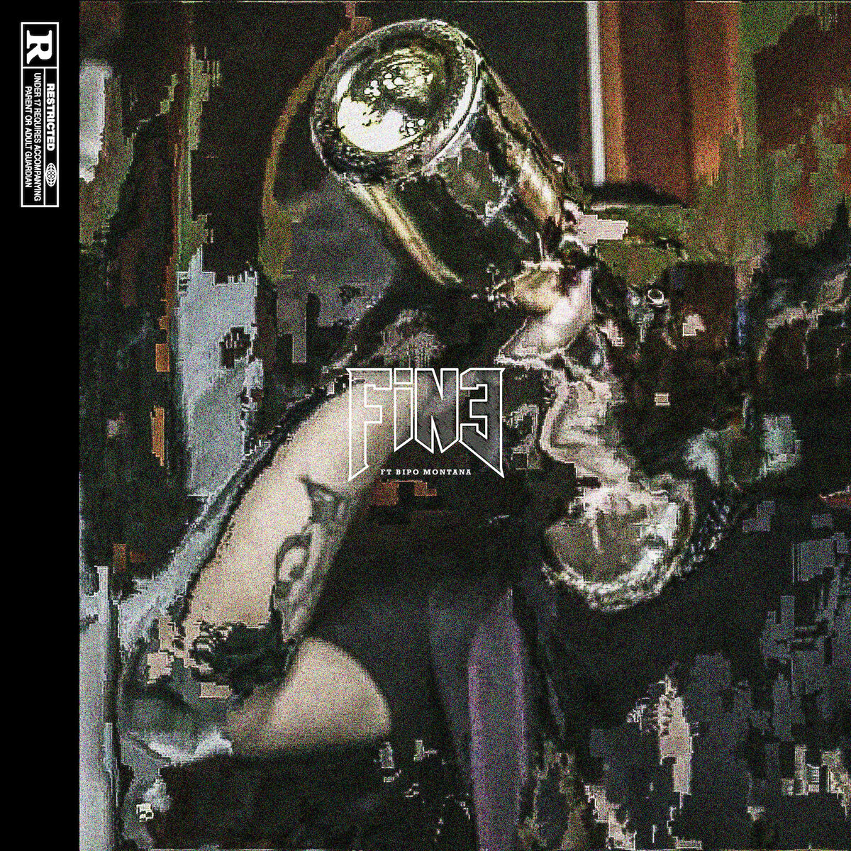 Album cover of Fine