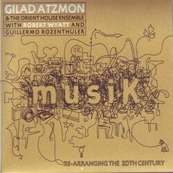 Cover of Musik / Re-Arranging the 20th Century