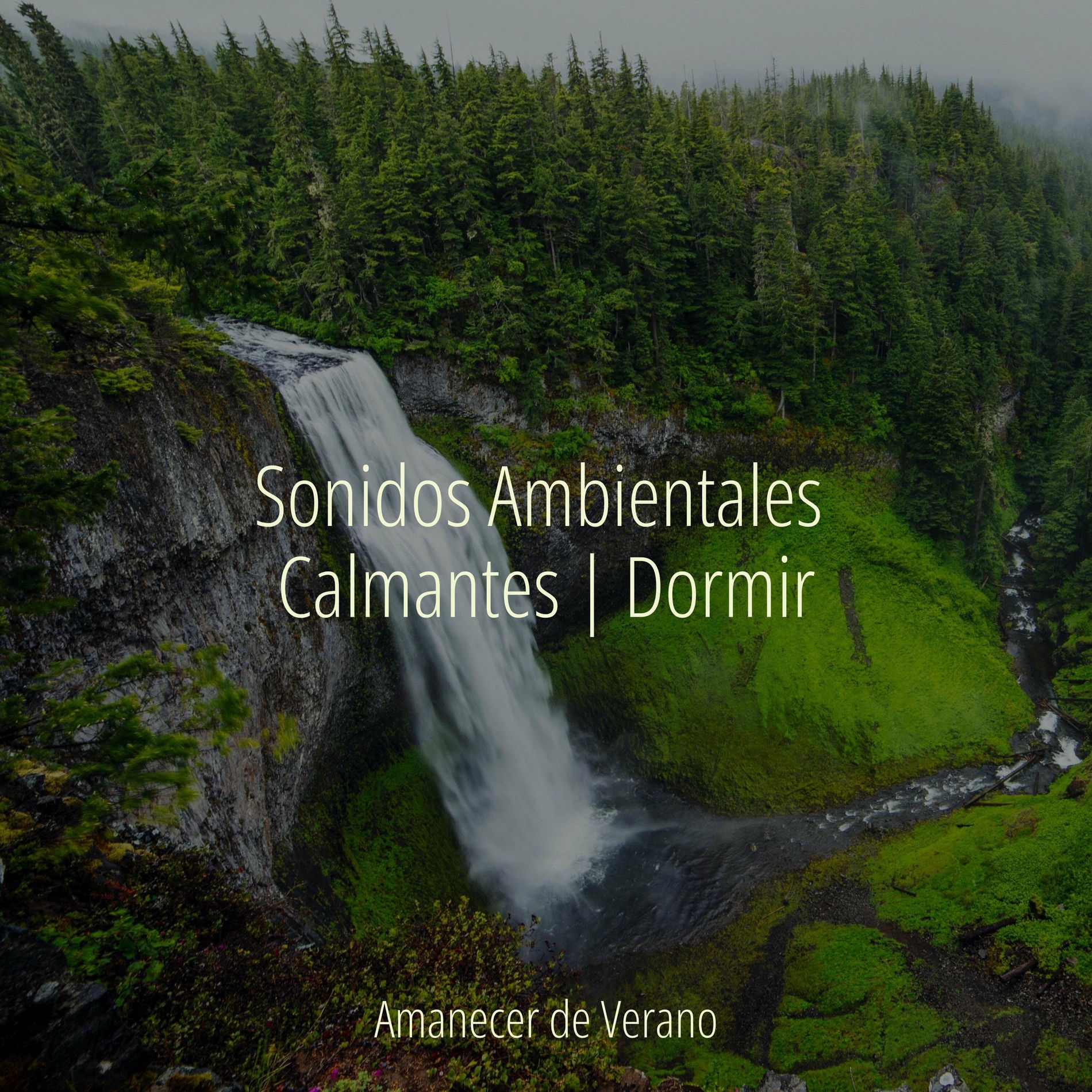 Album cover of Sonidos Ambientales Calmantes | Dormir